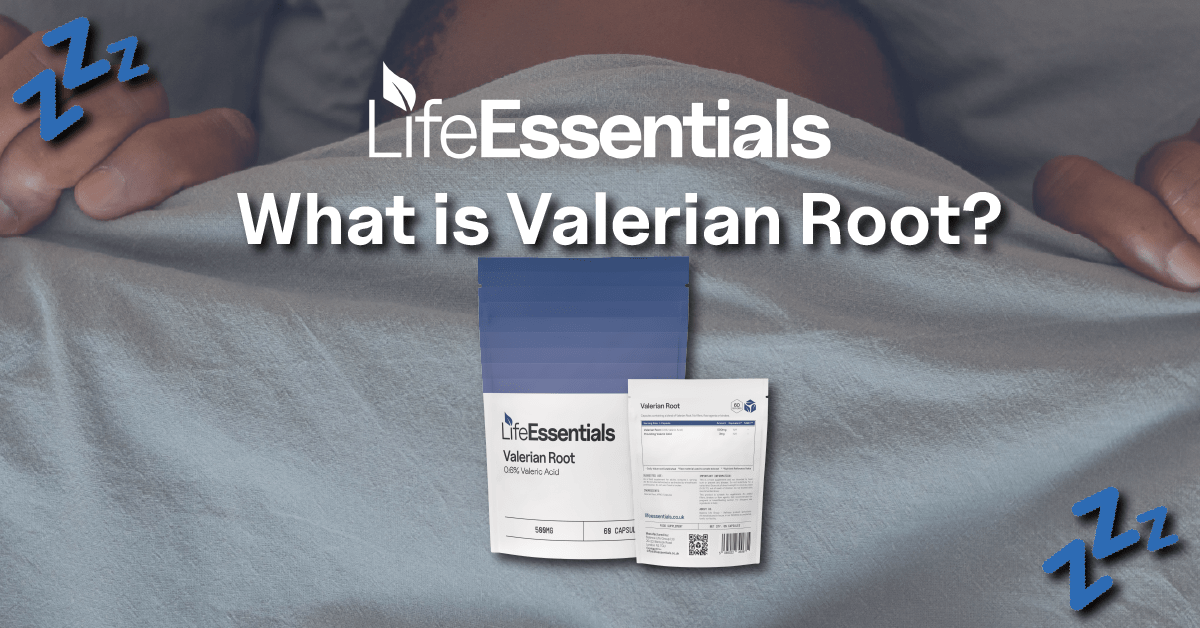 What is Valerian Root?