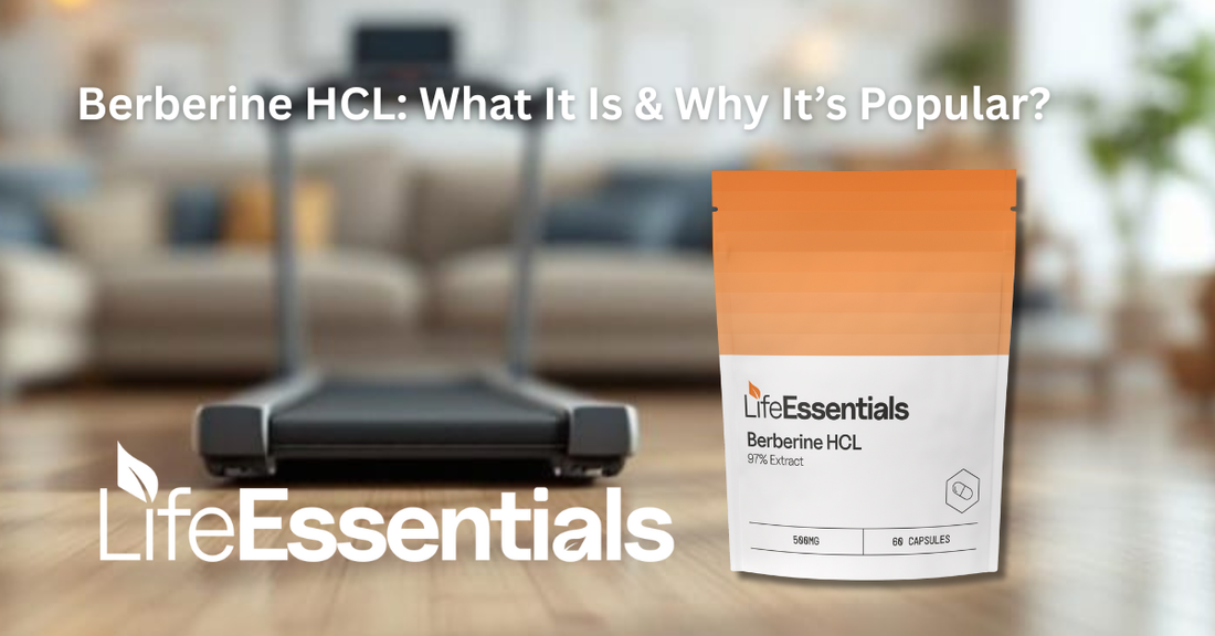 Berberine HCl: What It Is & Why It's So Popular?
