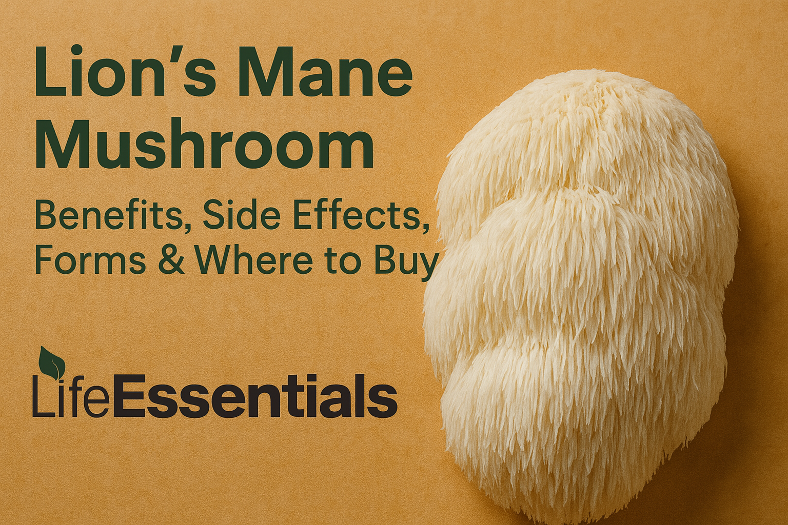 Lion’s Mane Mushroom UK Guide: Benefits, Side Effects, Forms & Where to Buy