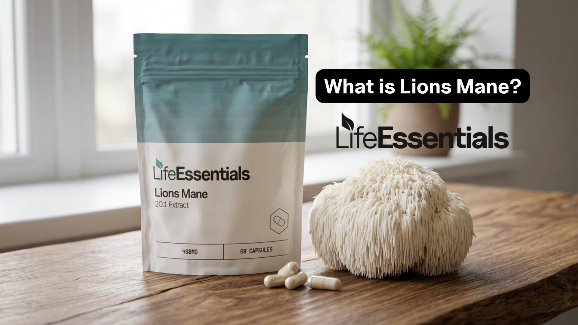 What Is Lion's Mane Mushroom and Why Is It Popular?