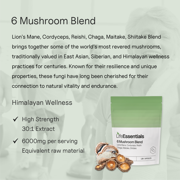 6 Mushroom Blend