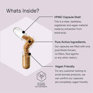 Life Essentials Reishi Mushroom HPMC capsule close-up