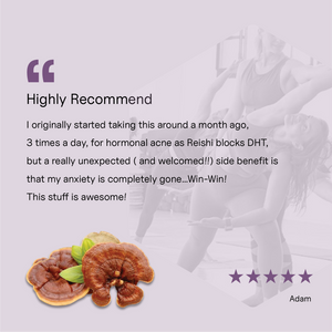 Life Essentials Reishi Mushroom customer review — five star rating