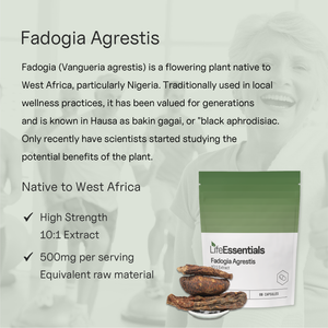 Fadogia Agrestis