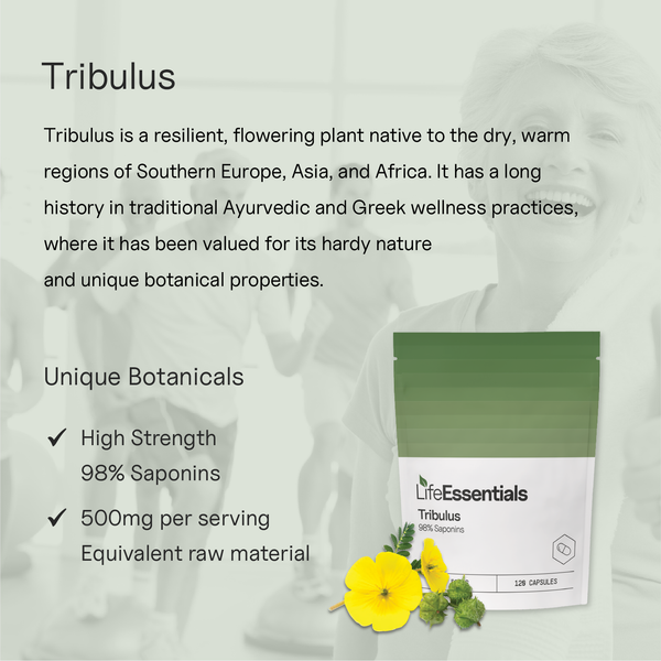 Tribulus
