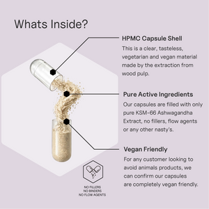 Life Essentials KSM-66 Ashwagandha capsule ingredients infographic showing HPMC vegan capsule shell, pure KSM-66 Ashwagandha extract powder, no fillers, no binders and no flow agents