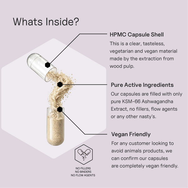 Life Essentials KSM-66 Ashwagandha capsule ingredients infographic showing HPMC vegan capsule shell, pure KSM-66 Ashwagandha extract powder, no fillers, no binders and no flow agents