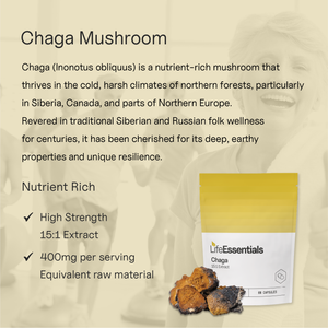 Chaga Mushroom