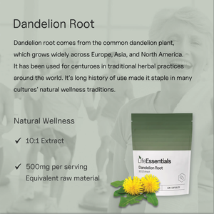 Dandelion Root