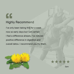 Dandelion Root