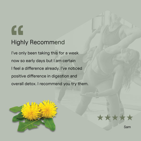 Dandelion Root