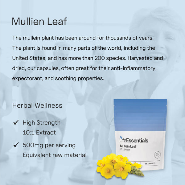 Mullein Leaf
