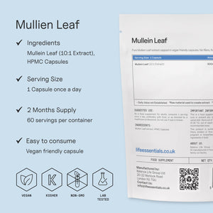 Mullein Leaf