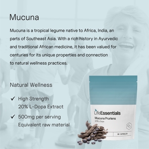 Mucuna Pruriens