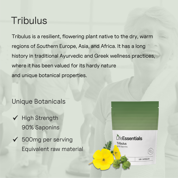 Tribulus